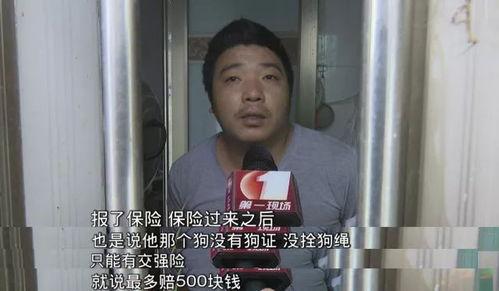 深圳一女士爆料视频最新,揭露惊人真相! 第3张 深圳一女士爆料视频最新,揭露惊人真相! 第3张