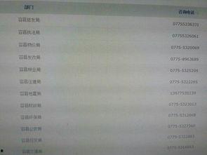 广西新闻在线爆料,揭秘重大事件背后真相