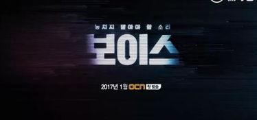 the voice韩剧在线观看,音乐选秀的激情与梦想之旅  第3张